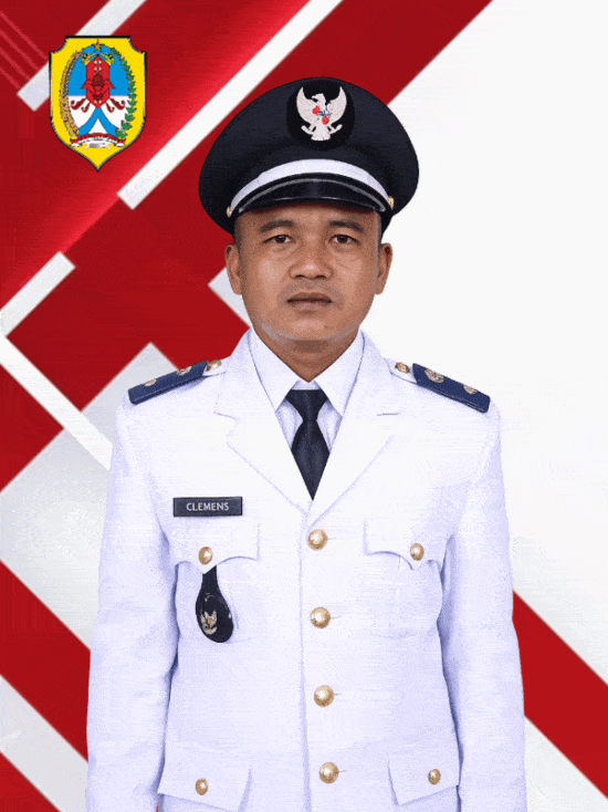 spot_img